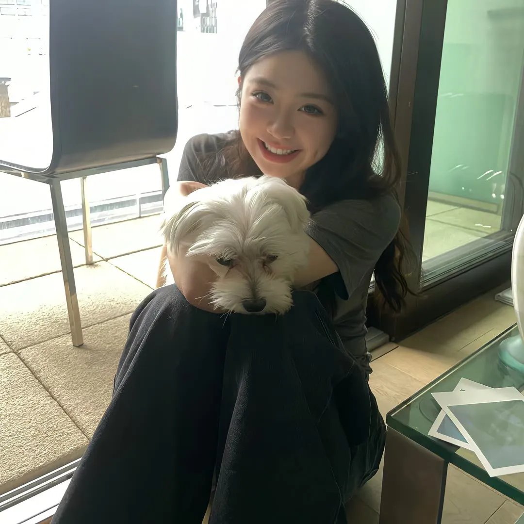 警犬来啦